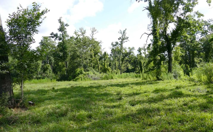 Pictures of Land property located at 42420 Moody Dixon Rd, Prairieville, LA 70769 for sales - image #1