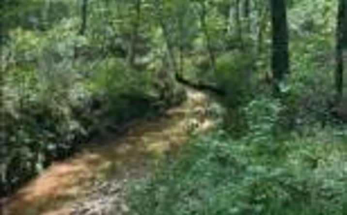 Pictures of Land property located at Lot N1 Old Edgefield Road, Ninety Six, SC 29666 for sales - image #1