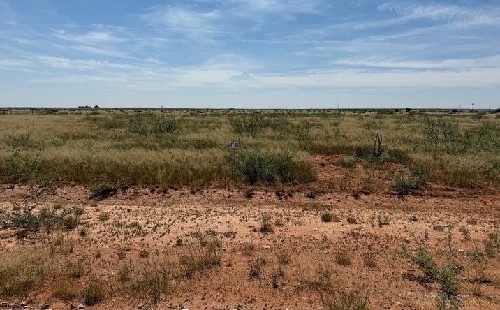 Pictures of Land property located at 1120 SE 1630, Andrews, TX 79714 for sales - image #1