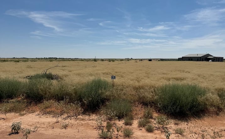 Pictures of Land property located at 1110 SE 1630, Andrews, TX 79714 for sales - image #1