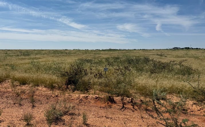 Pictures of Land property located at 1155 SE 1630, Andrews, TX 79714 for sales - image #1