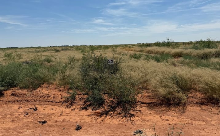 Pictures of Land property located at 1140 SE 1620, Andrews, TX 79714 for sales - image #1