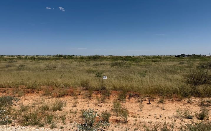 Pictures of Land property located at 1190 SE 1630, Andrews, TX 79714 for sales - image #1