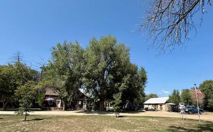Pictures of Retail, Multifamily, Land property located at 1408 & 1424 17th Ave, Longmont, CO 80501 for sales - image #1