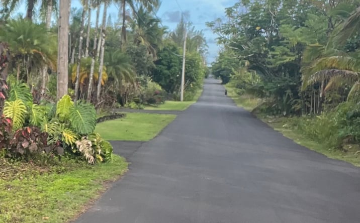 Pictures of Land property located at 15-1702 1st Ave, Keaau, HI 96749 for sales - image #1
