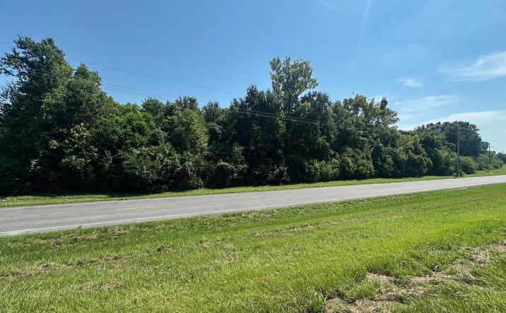 Pictures of Land property located at 7635 LA-39, Braithwaite, LA 70040 for sales - image #1