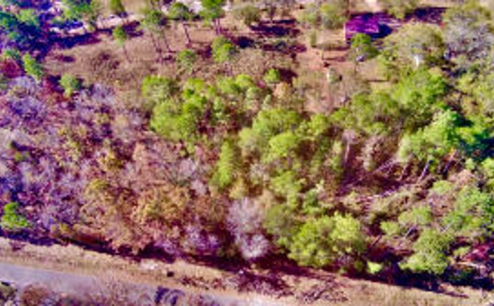 Pictures of Land property located at 000 Sertoma Drive, Johnston, SC 29832 for sales - image #1
