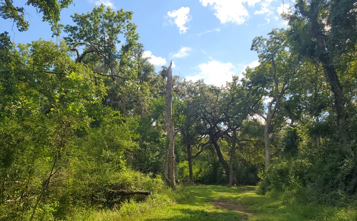 Pictures of Land property located at Co Rd 488B, Sweeny, TX 77480 for sales - image #1