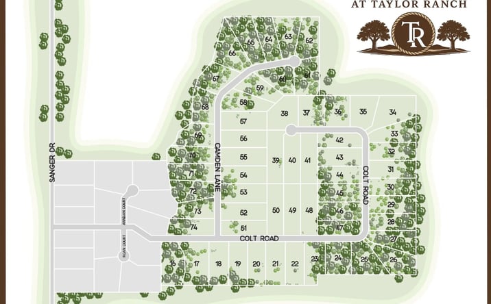 Pictures of Land property located at Lot 70 Camden Lane, Springtown, TX 76082 for sales - image #1