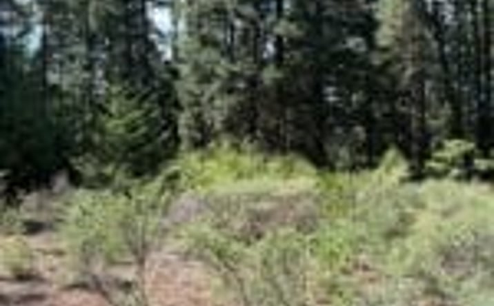 Pictures of Land property located at Castle Creek Rd, Castella, CA 96017 for sales - image #1