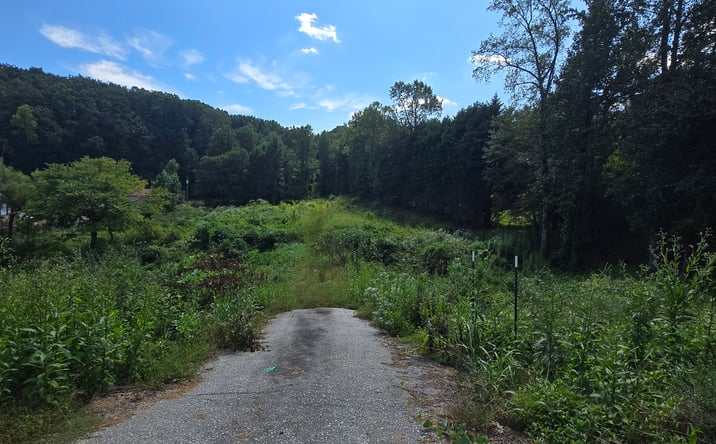 Pictures of Land property located at 0 Highway 115, Cleveland, GA 30528 for sales - image #1