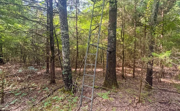 Pictures of Land property located at Kenneth Ln, Houston, AR 72070 for sales - image #1