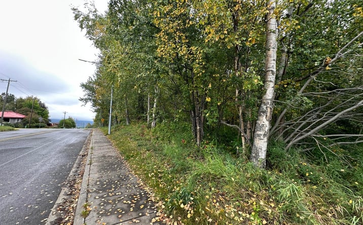 Pictures of Land property located at C021 S Valley Way, Palmer, AK 99645 for sales - image #1