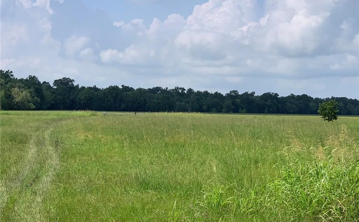 Pictures of Land property located at 1 Sunset Ridge Lane, Des Allemands, LA 70030 for sales - image #1