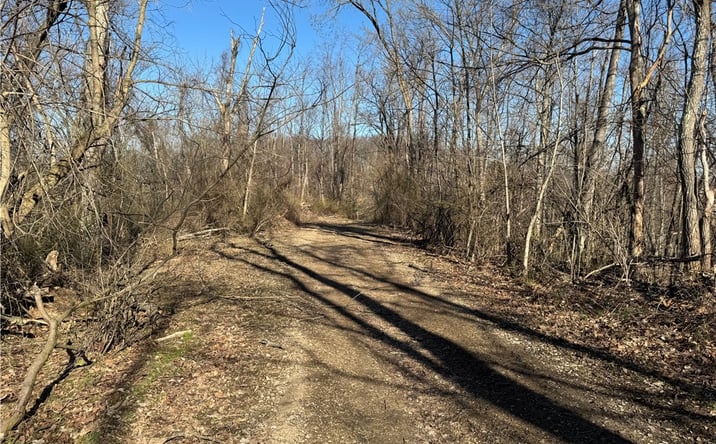 Pictures of Land property located at Fallen Timber Rd, Avella, PA 15312 for sales - image #1