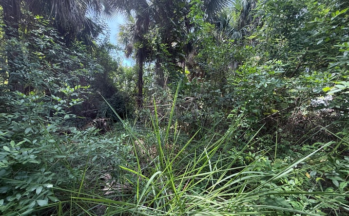 Pictures of Land property located at 782 Micco St SW, Palm Bay, FL 32907 for sales - image #1