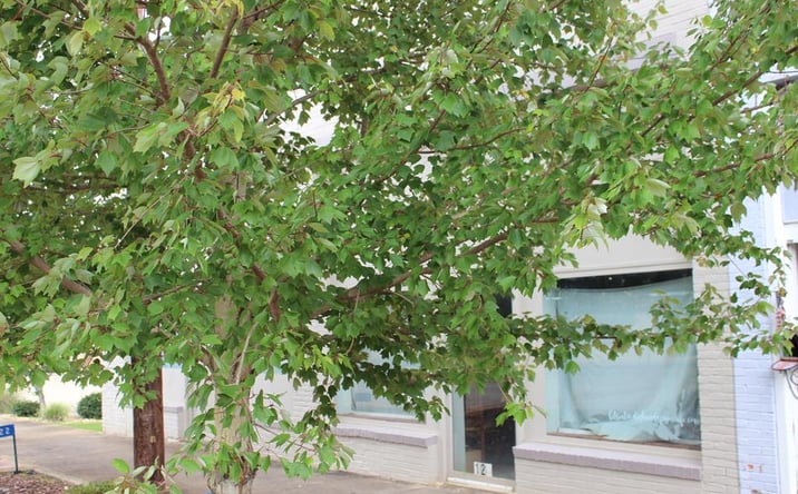 Pictures of Office, Retail property located at 318 Broad St, Richland, GA 31825 for sales - image #1