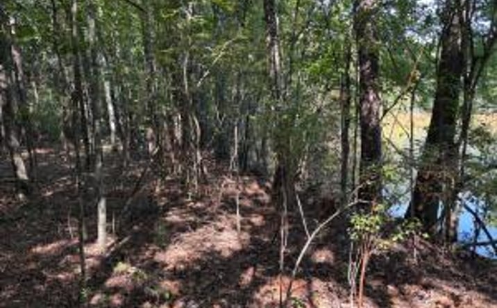 Pictures of Land property located at 1460 Whitetown Road, Mc Cormick, SC 29835 for sales - image #1
