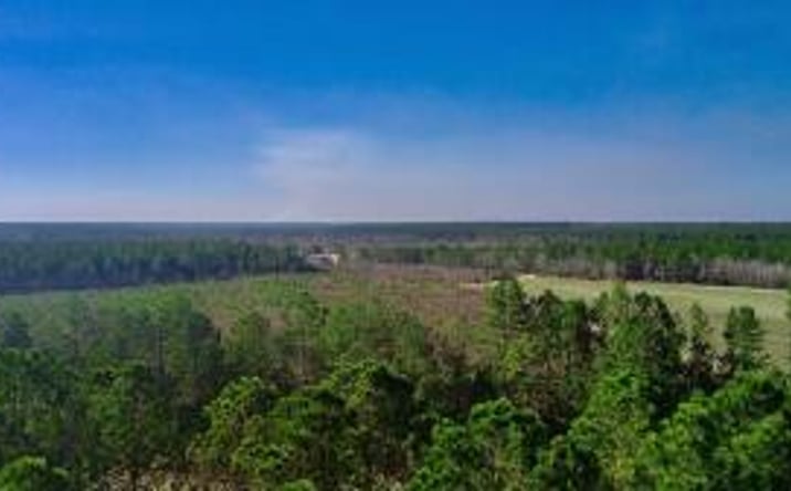 Pictures of Land property located at Xx Three Notch Road, Monetta, SC 29105 for sales - image #1