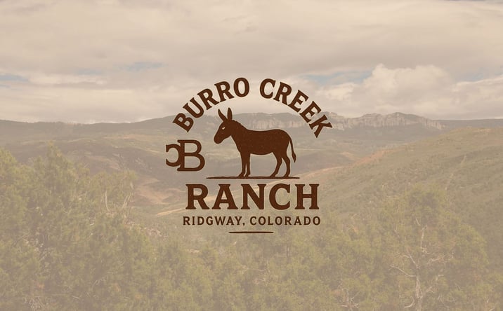 Pictures of Land property located at TBD county RD 4, Ridgway, CO 81432 for sales - image #1