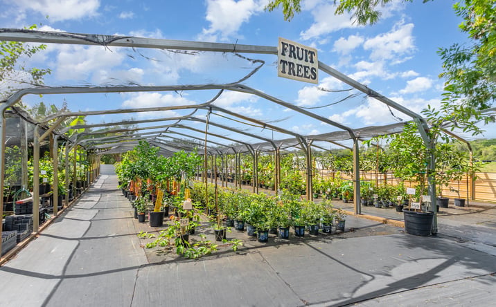Pictures of Business for Sale, Special Purpose property located at 155 11th Ave, Osteen, FL 32764 for sales - image #1