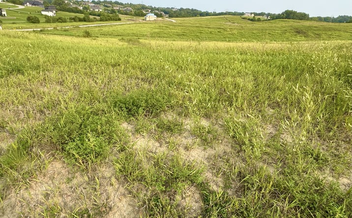 Pictures of Land property located at 12015 S 229th Street, Gretna, NE 68028 for sales - image #1