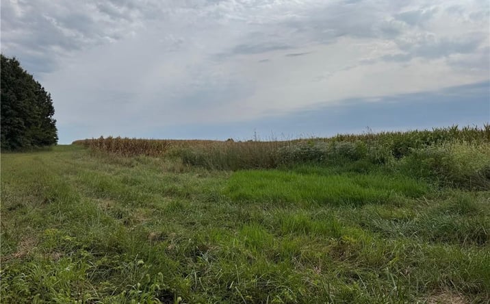 Pictures of Land property located at TBD State Hwy V Highway, Gallatin, MO 64640 for sales - image #1