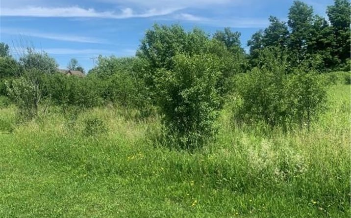 Pictures of Land property located at Kingfisher Lane, New Hartford, NY 13413 for sales - image #1