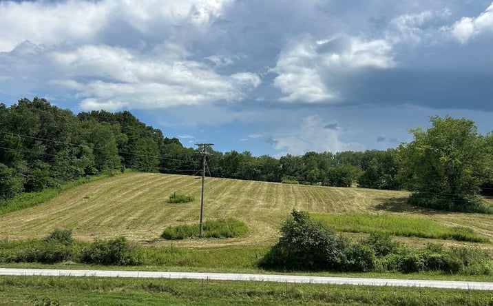 Pictures of Land property located at 16.75 ac Off Blacklick Rd, Rural Retreat, VA 24368 for sales - image #1