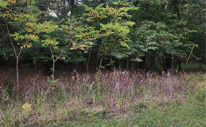 Pictures of Land, Special Purpose property located at 1 Live Oak Lane, Linn Valley, KS 66040 for sales - image #1