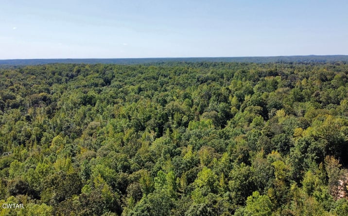 Pictures of Land property located at Cedar Hill Rd, Parsons, TN 38363 for sales - image #1