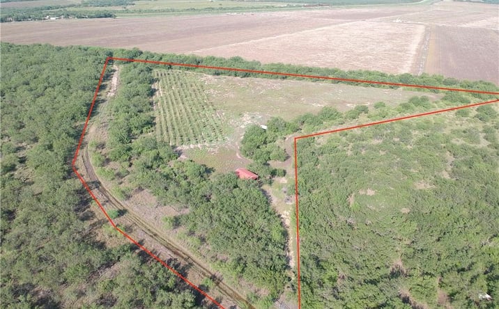 Pictures of Land property located at N Military Road, Palmview, TX 78560 for sales - image #1