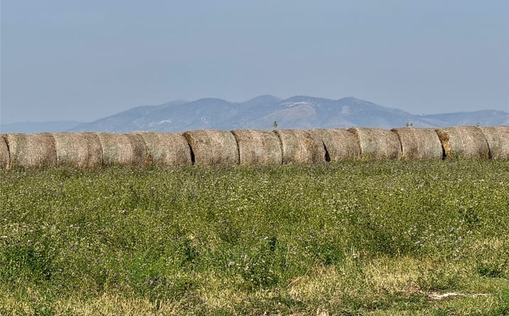 Pictures of Land property located at NHN W Fergus Avenue, Moore, MT 59464 for sales - image #1