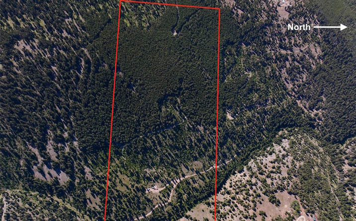 Pictures of Land property located at TBD B Chimney Lakes Road, Helmville, MT 59843 for sales - image #1