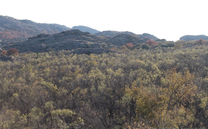 Pictures of Land property located at 20826 E County Road 1470, Lone Wolf, OK 73655 for sales - image #1