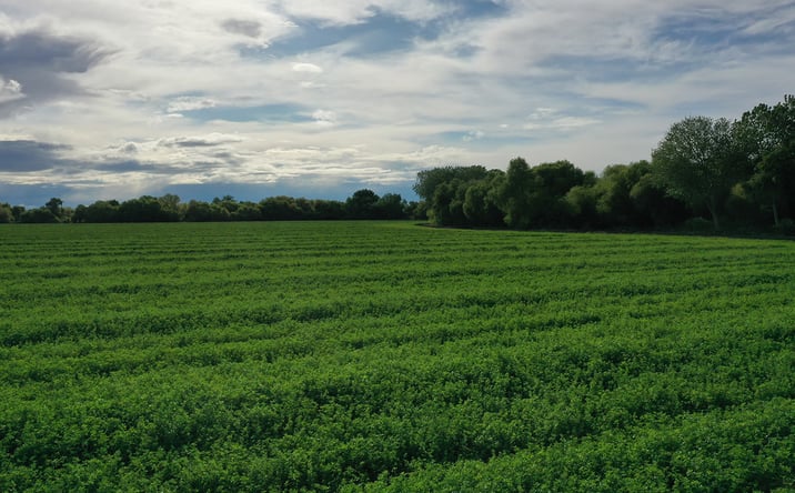 Pictures of Land property located at E & W sides of Hereford Rd,, Los Banos, CA 93635 for sales - image #1