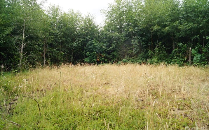 Pictures of Land property located at 0 Off Of Wynooche Wishkah Rd, Montesano, WA 98563 for sales - image #1
