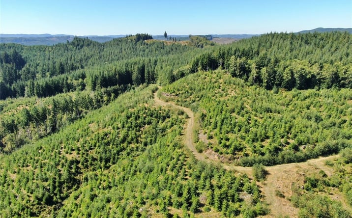 Pictures of Land property located at 0 Nka Lund Road, Cosmopolis, WA 98537 for sales - image #1