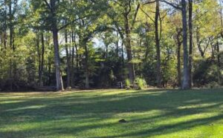 Pictures of Mixed Use property located at 0 Meadow Lane Lane, Barnwell, SC 29812 for sales - image #1