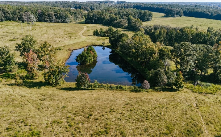 Pictures of Land property located at Bohannon Rd, Grantville, GA 30220 for sales - image #1