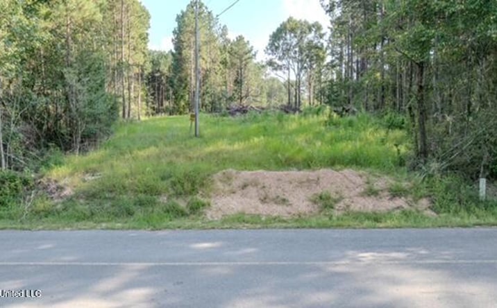Pictures of Land property located at 174 Pap Armstrong Road, Wiggins, MS 39577 for sales - image #1