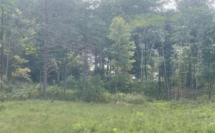 Pictures of Land property located at 0 Olympus Dr, Albany, KY 42602 for sales - image #1