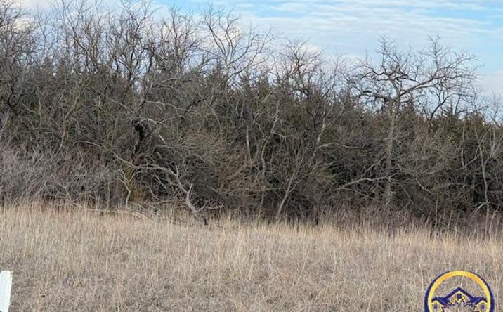 Pictures of Land property located at 101st SE Croco RD, Berryton, KS 66409 for sales - image #1