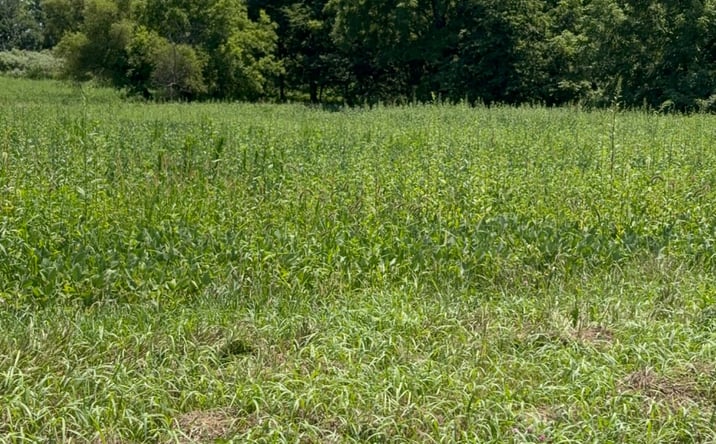 Pictures of Land property located at 4800 N 275 W, Crawfordsville, IN 47933 for sales - image #1