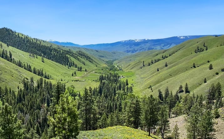 Pictures of Land property located at 387 Tower Creek Rd, Carmen, ID 83462 for sales - image #1
