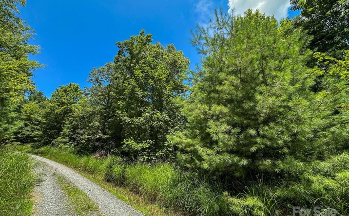 Pictures of Land property located at TBD Emma Bri Lane Unit #10, Hendersonville, NC 28739 for sales - image #1