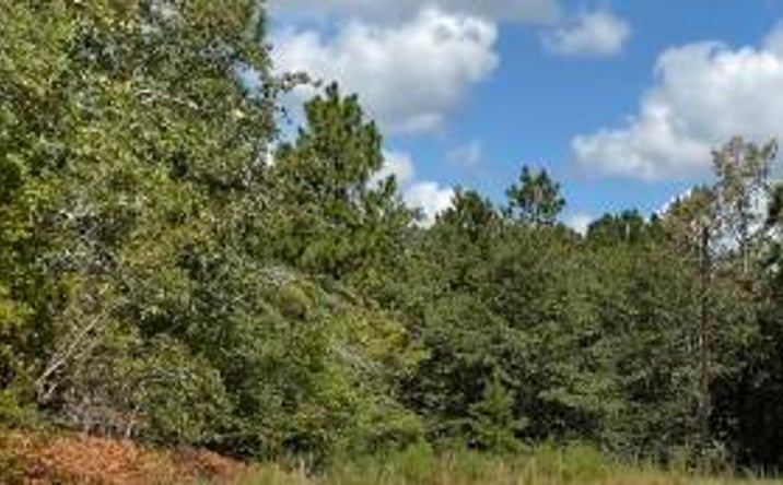 Pictures of Land property located at Tbd Croft Mill Road, Aiken, SC 29801 for sales - image #1