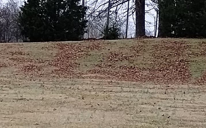 Pictures of Land property located at 2448 Fairview Blvd, Fairview, TN 37062 for sales - image #1