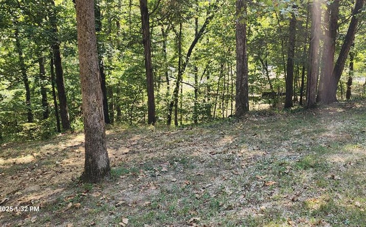 Pictures of Land, Multifamily property located at 162 Stirling Rd, Camden, TN 38320 for sales - image #1