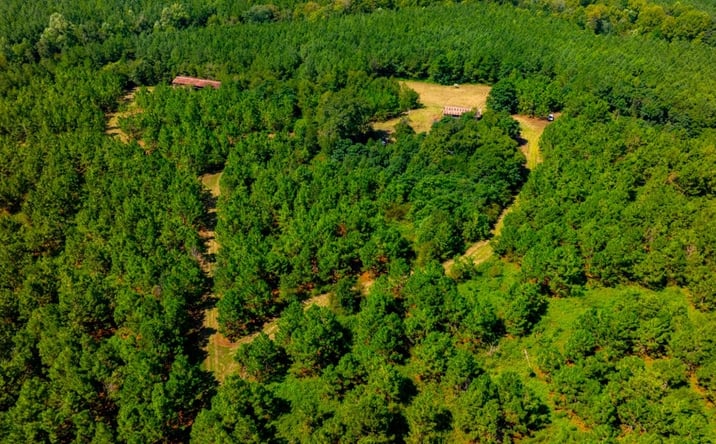 Pictures of Land property located at HWY 338, Dudley, GA 31022 for sales - image #1